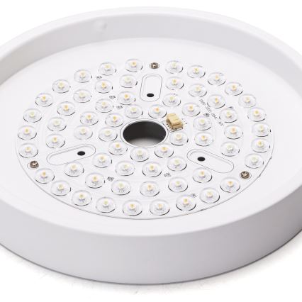 Aigostar - LED Dimbar takfläkt LED/24W/230V 2700-6500K diameter 165 cm + fjärrkontroll vit
