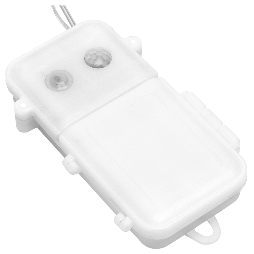 Aigostar - LED dimbar utomhus julslinga med rörelsesensor 100xLED/3xAA 12m flerfärgad + fjärrkontroll