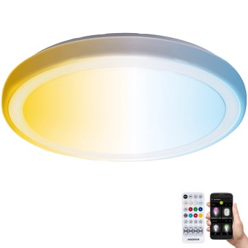 Aigostar - LED ljusreglerad taklampa till badrum MESH Smart LED/24W/230V 3000-6500K IP44 + fjärrkontroll
