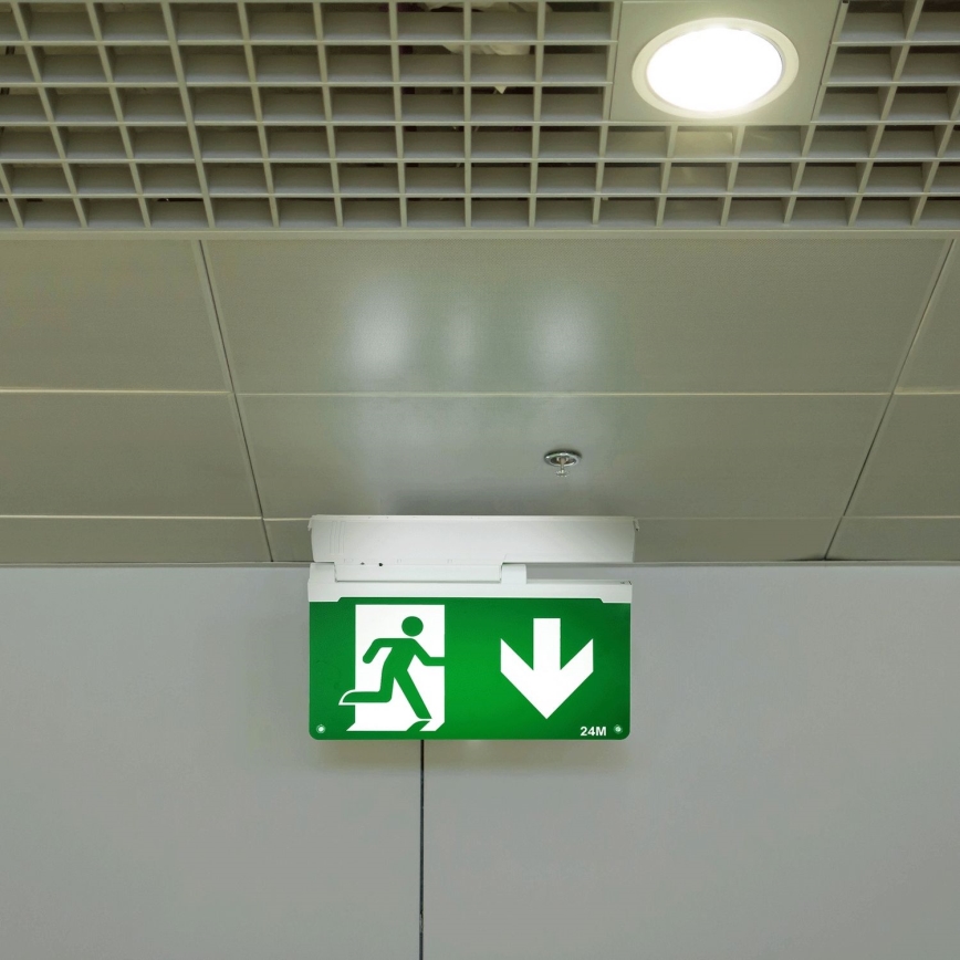 Aigostar - LED nödbelysning EMERGENCY EXIT LED/3,6W/230V 6500K 500mAh