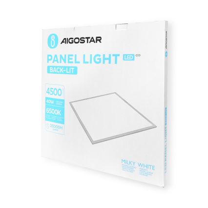 Aigostar - LED infälld panel LED/40W/230V 6500K 60x60cm vit