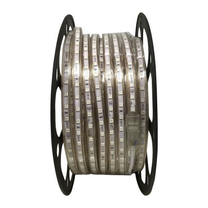 Aigostar - LED-remsa 50m LED/300W/230V IP65 grön