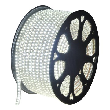 Aigostar - LED-remsa för utomhusbruk 50 m LED/350W/230V 6500K IP65