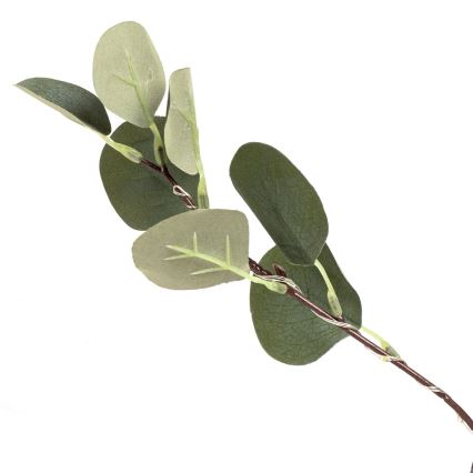 Aigostar - LED solär dekoration 210xLED/3,5m IP65 300 mAh varmvit eukalyptus