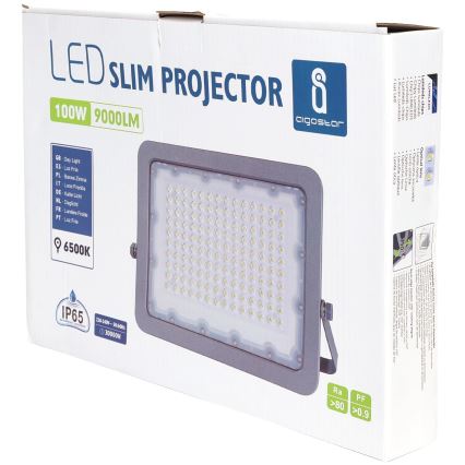 Aigostar - LED strålkastare LED/100W/230V grå 6500K IP65