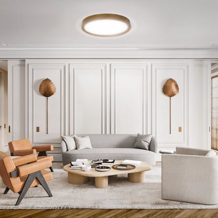 Aigostar - LED taklampa LED/24W/230V 6500K diameter 38,3 cm