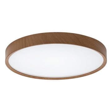 Aigostar - LED taklampa LED/36W/230V 6500K diameter 48,1 cm