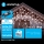 Aigostar - LED utomhusslinga 200xLED/8 funktioner 13x0,6m IP44 kallvit