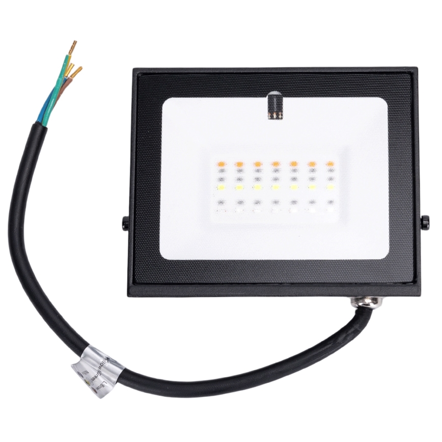 Aigostar - LED RGB dimbar strålkastare LED/10W/230V IP65 + fjärrkontroll