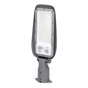 Aigostar - SLIM LED gatuarmatur 50W/230V 6500K IP65