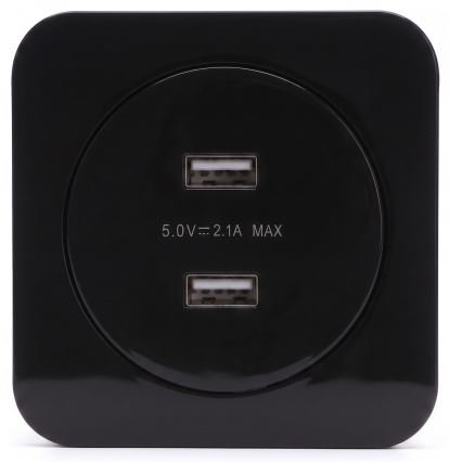 Aigostar - USB-strömuttag med ram, 2x USB-A, svart