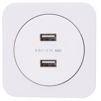 Aigostar - USB-strömuttag med ram, 2x USB-A, vit