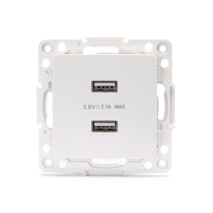Aigostar - USB-strömuttag utan ram, 2x USB-A, vitt