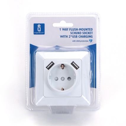Aigostar - Vägguttag SCHUKO 250V + 2 USB-portar med ram, vit