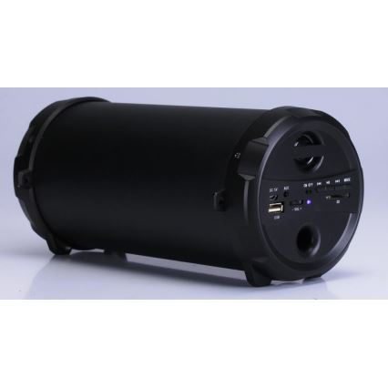 AKAI ABTS-12C - Trådlös högtalare 10W/5V 1200 mAh