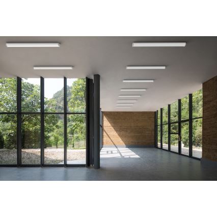 APLED - LED Fäst lampa TROUT LED/36W/230V 4000K + nödfall