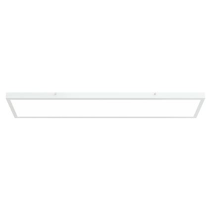 APLED - LED fäst panel LONG LED/40W/230V 4000K 120x30cm IP41 vit