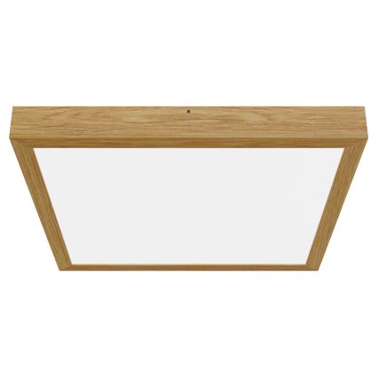 APLED - LED fastsatt panel  QUADRA LED/40W/230V ek