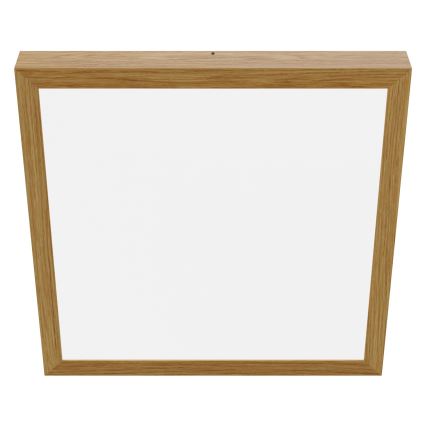 APLED - LED fastsatt panel  QUADRA LED/40W/230V ek
