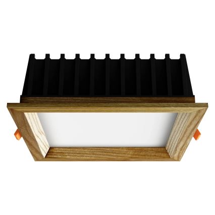 APLED - LED infälld belysning SQUARE WOODLINE LED/12W/230V 4000K 17x17 cm ask massivt trä