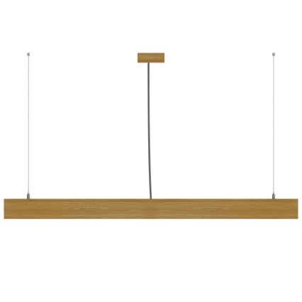 APLED - LED takkrona på ett snöre  LOOK LED/36W/230V 4000K 120 cm ek