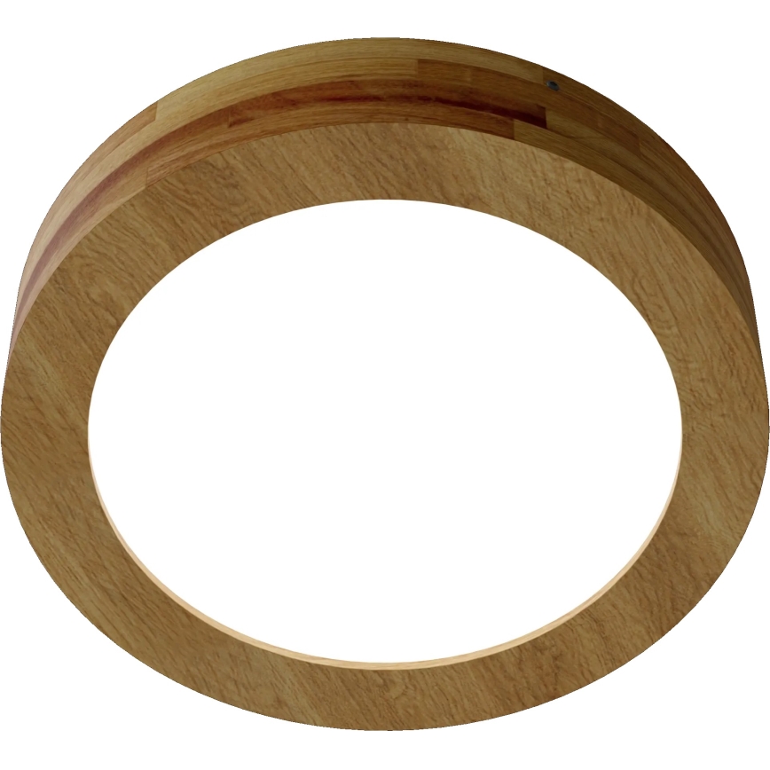 APLED - LED taklampa RONDO LED/24W/230V diameter  30 cm ek