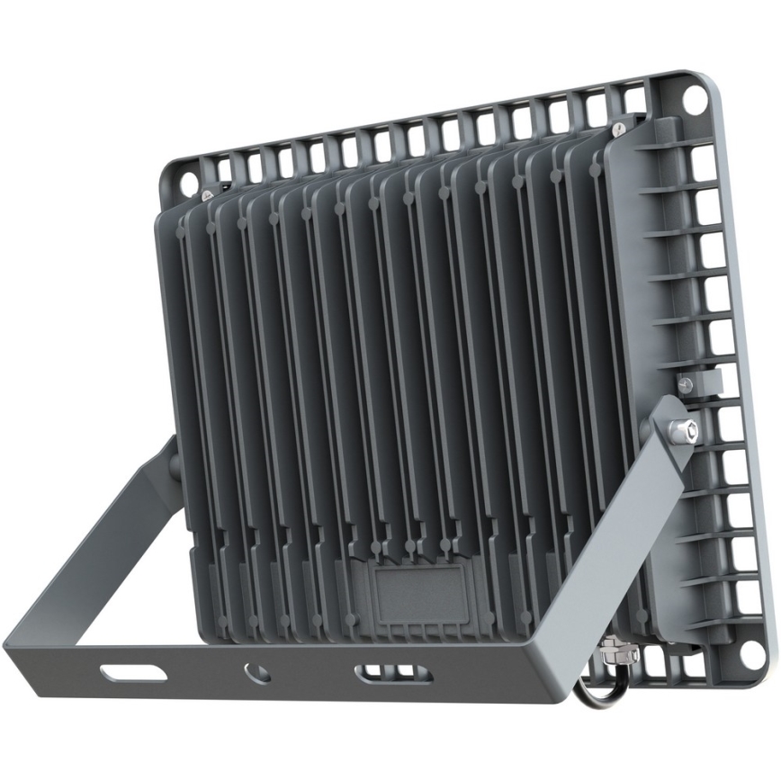 APLED - LED Utomhus Strålkastare PRO LED/100W/230V IP66 10000lm 6000K