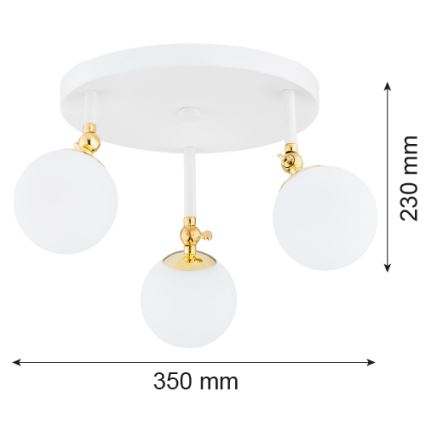 Argon 1434 - Badrumsytmonterad taklampa LATINA 3xE14/7W/230V IP44 vit/guld