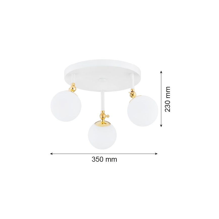 Argon 1434 - Badrumsytmonterad taklampa LATINA 3xE14/7W/230V IP44 vit/guld