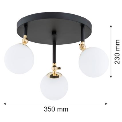 Argon 1436 - Ytmonterad badrumstaklampa LATINA 3xE14/40W/230V IP44