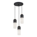 Argon 1467 - Ljuskrona med upphängningsrem BURGOS 3xE27/15W/230V svart