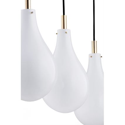 Argon 1741 - Takkkrona på ett snöre  OAKLAND 4xG9/6W/230V