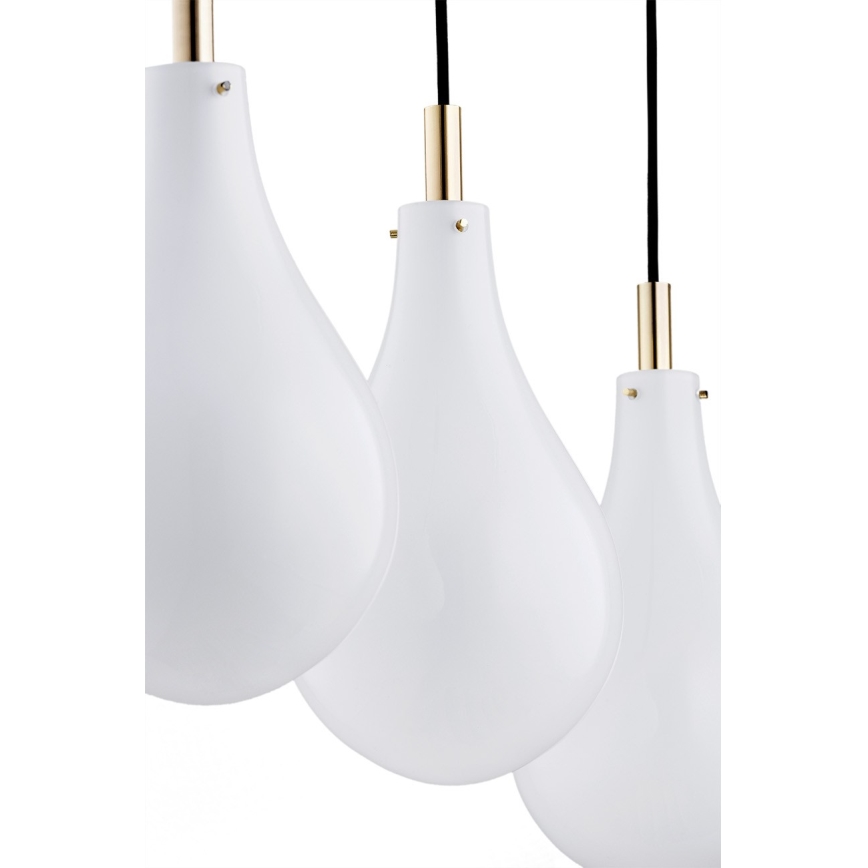 Argon 1741 - Takkkrona på ett snöre  OAKLAND 4xG9/6W/230V