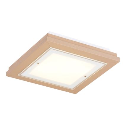 Argon 1866 - Taklampa TABOR 4xE27/15W/230V 42x42 cm beige
