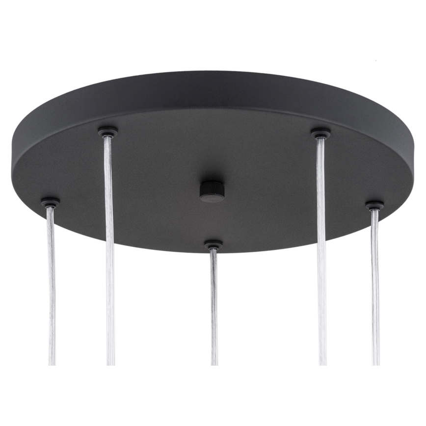 Argon 2103 - Takkkrona på ett snöre  HOLLYWOOD 5xE14/7W/230V svart 