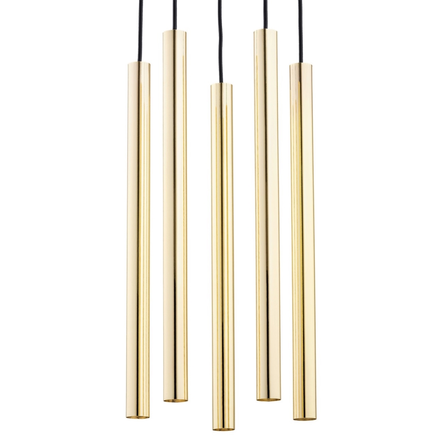 Argon 2109 - LED takkrona på ett snöre  SICILIA 5xLED/4,5W/230V