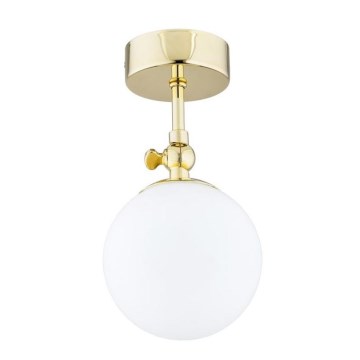 Argon 4001 - LATINA ytmonterad badrumsarmatur 1xE14/40W/230V IP44