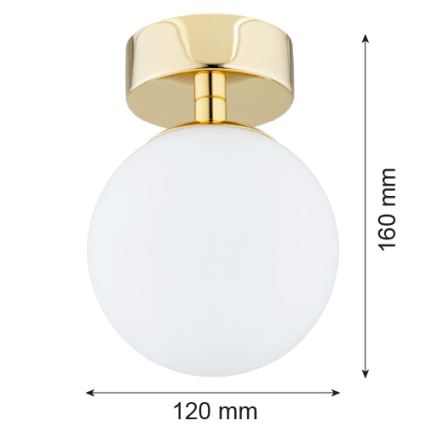 Argon 4004 - Taklampa för badrum FLAVIO 1xE14/7W/230V IP44