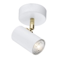 Argon 4209 - Takpotlight LAGOS 1xGU10/5W/230V vit/guld