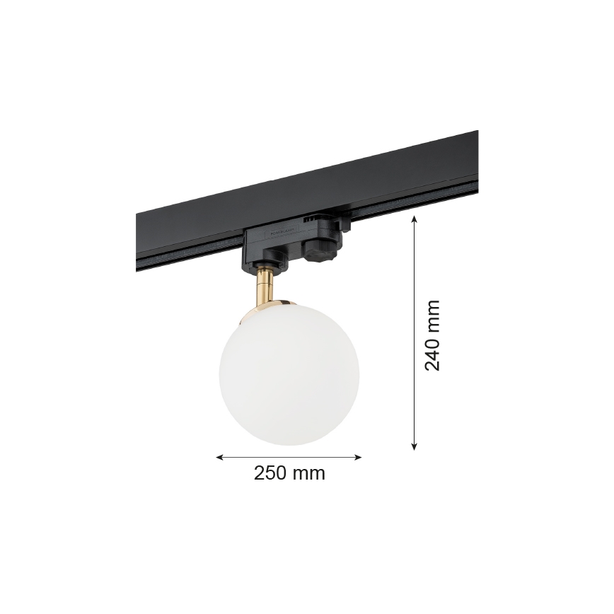 Argon 4307 - Spotbelysning för BANG skensystem 1xG9/6W/230V mässing