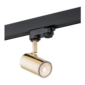 Argon 4328 - Spotbelysning för HORTA skensystem 1xGU10/5W/230V mässing