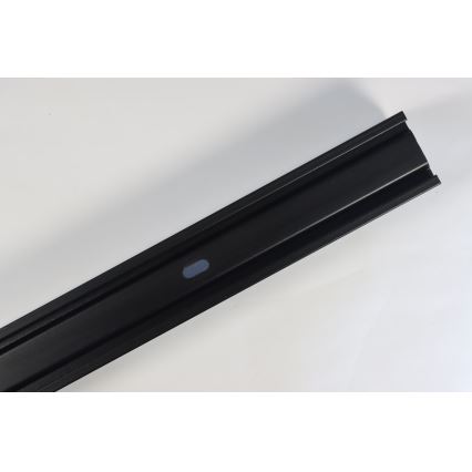 Argon 4380 - Skensystem 2 m svart