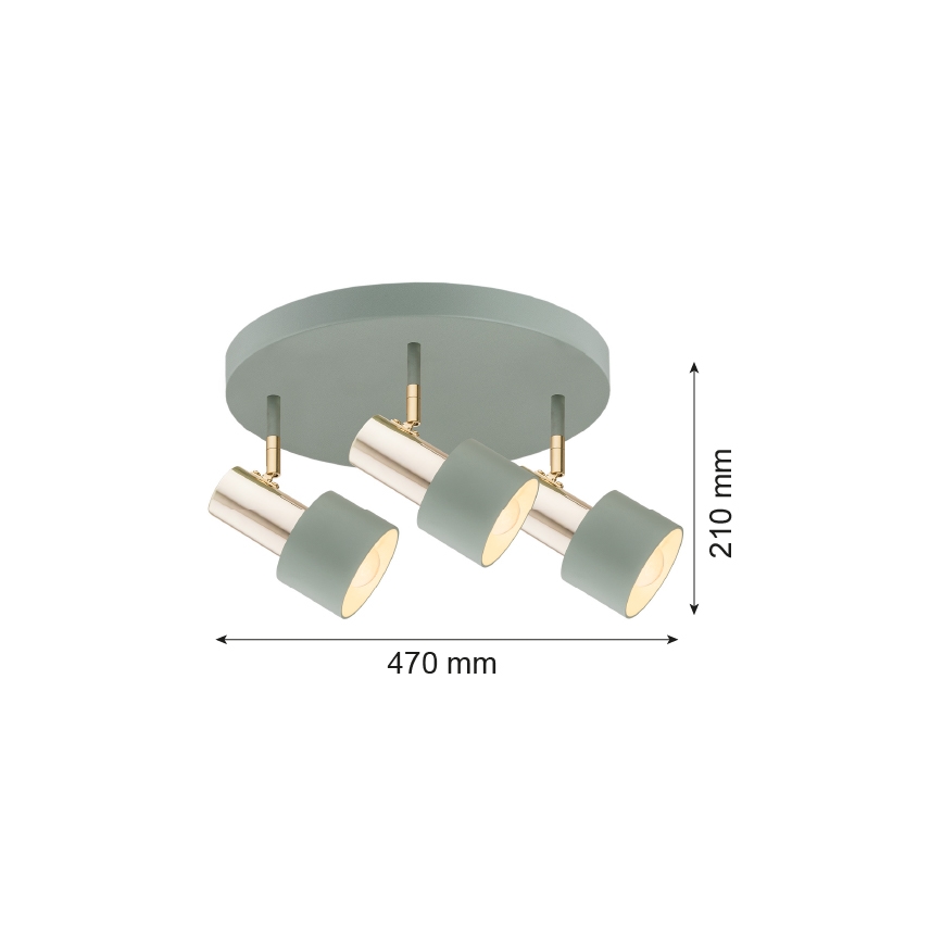 Argon 6007 - Spotlight DORIA 3xE27/15W/230V grön/mässing
