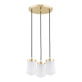 Argon 6164 - Ljuskrona med upphängningsrem PASADENA 3xE27/15W/230V gyllene/vit