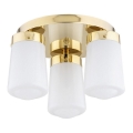 Argon 6165 - Surface-mounted ljuskrona PASADENA 3xE27/15W/230V guld/vit