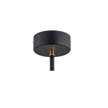Argon 6166 - Taklampa RAVELLO 3xE14/15W/230V svart/guld
