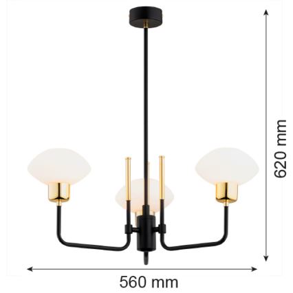 Argon 6166 - Taklampa RAVELLO 3xE14/15W/230V svart/guld