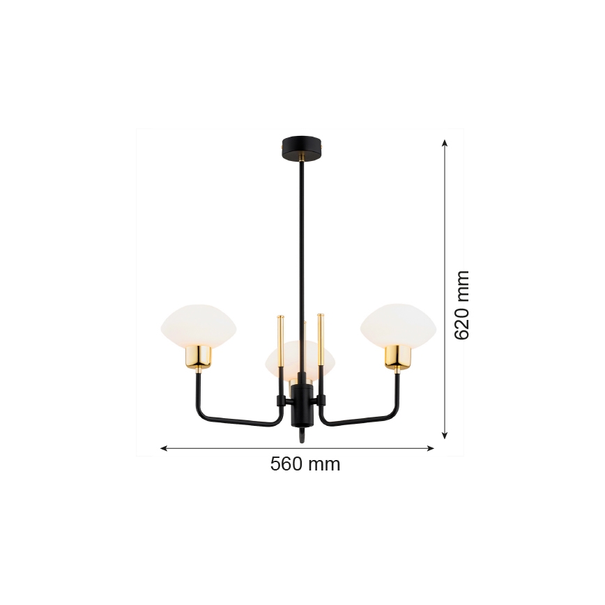 Argon 6166 - Taklampa RAVELLO 3xE14/15W/230V svart/guld