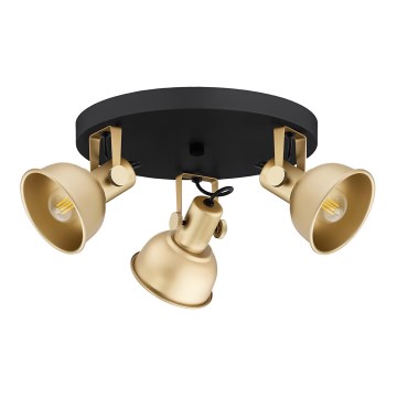 Argon 6243 - Spotlight LENORA 3xE14/7W/230V guld/svart