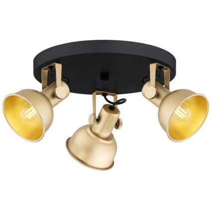 Argon 6243 - Spotlight LENORA 3xE14/7W/230V guld/svart